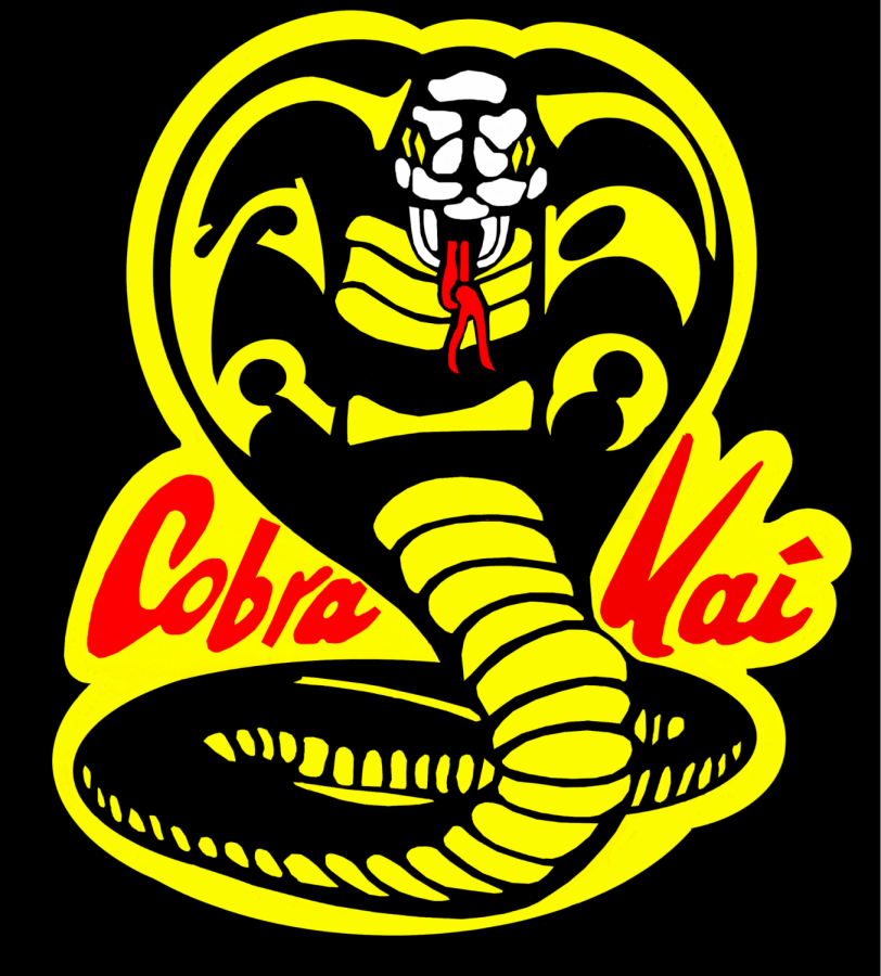 Cobra Kai is a continuation of the beloved Karate Kid. The series on YouTube Red and Netflix follows the main characters of the classic movie from which it originated.