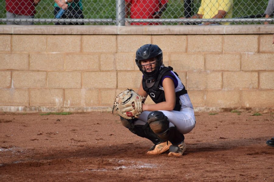 Softball Starts Season Strong; Basketball Prepares for Tryouts