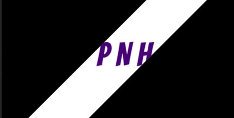 PNH News (full length broadcast)
