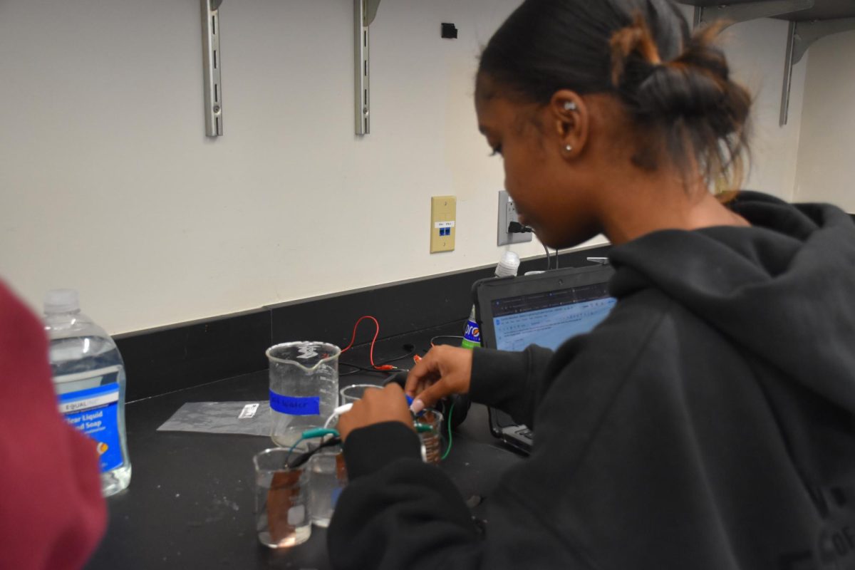 Sophomore Carmen Mansfield works on a chemistry project in which students use zinc, copper, and water to turn on a light. The Viking Academy often uses projects to teach students concepts.