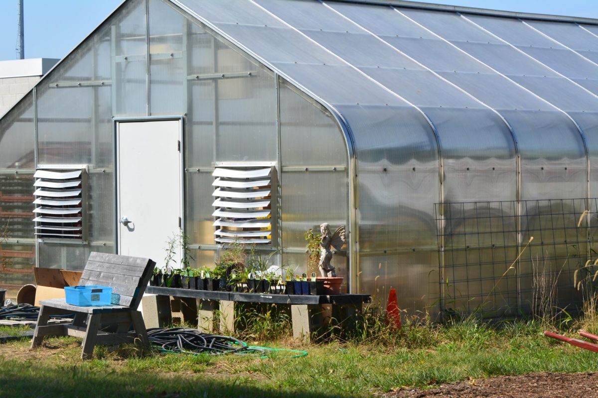 Environmental Club takes advantage of the school's greenhouse to house hydroponics and grow vegetables. The vegetables will be donated to local food pantries.