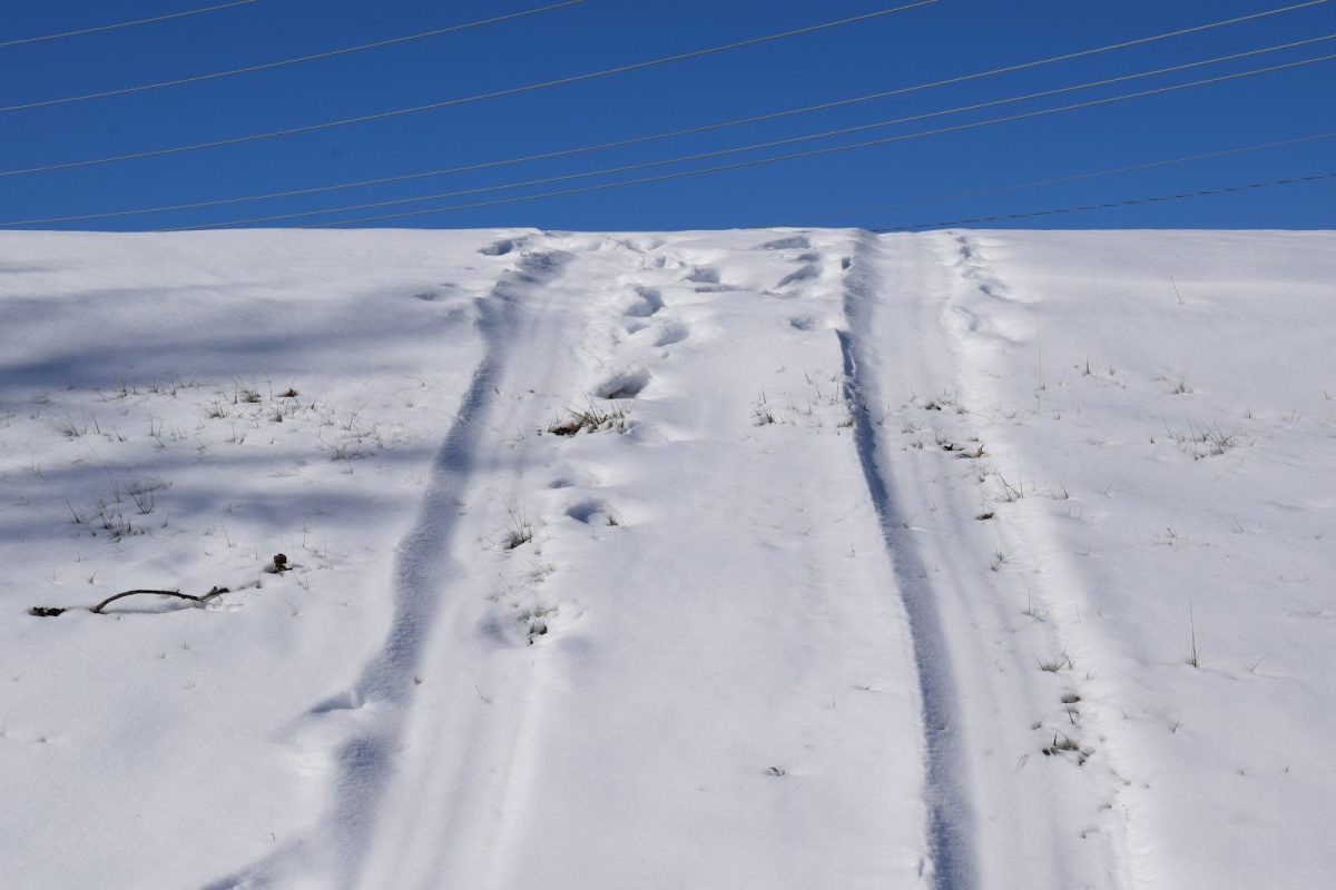 On the hill at Parkway North by Fee Fee Road, sledding tracks show evidence of people enjoying St. Louis’ snowfall. Students got three snow days which extended their winter break, but also cut into their final exam preparation time.