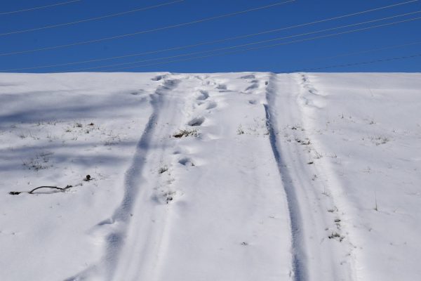 On the hill at Parkway North by Fee Fee Road, sledding tracks show evidence of people enjoying St. Louis’ snowfall. Students got three snow days which extended their winter break, but also cut into their final exam preparation time.